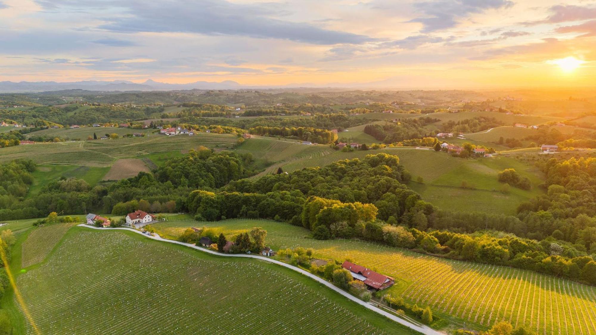 Zelena Oaza - B&B Miklavz pri Ormozu Bagian luar foto